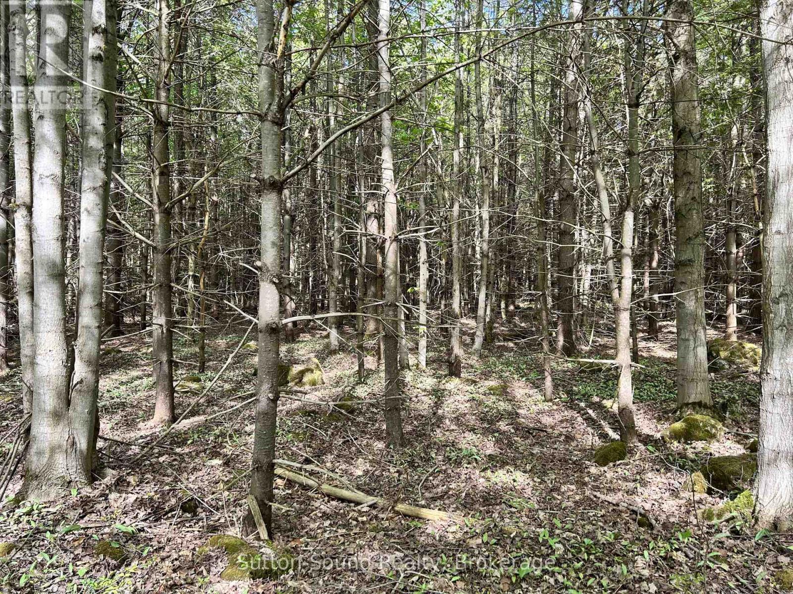 Lot 24 Concession 14 Keppel Concession Property Photo 11