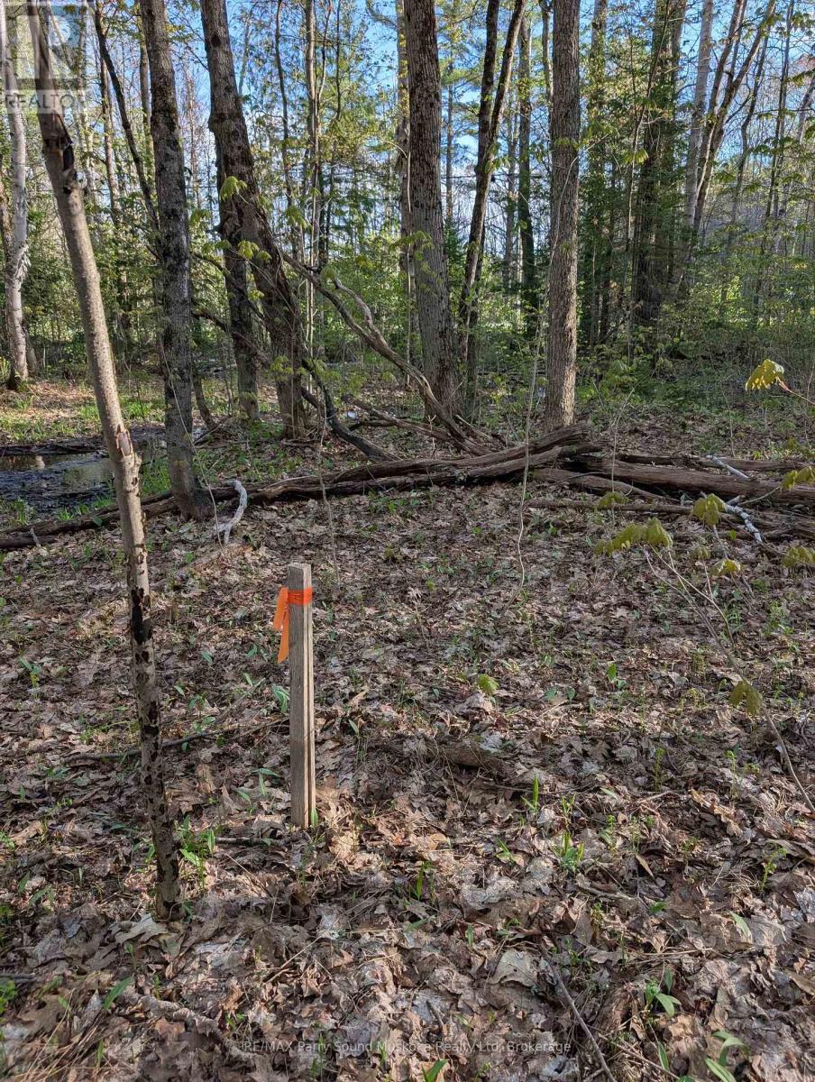 0 Sugar Lake Road Property Photo 3