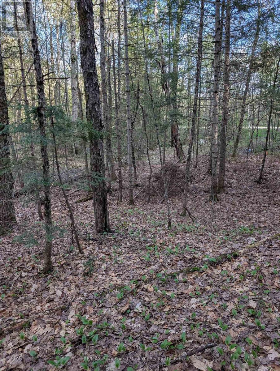 0 Sugar Lake Road Property Photo 5