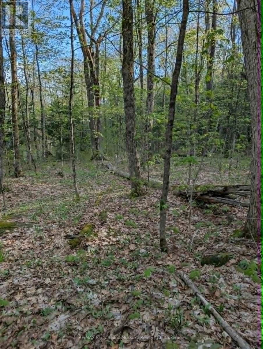 0 Sugar Lake Road Property Photo 12