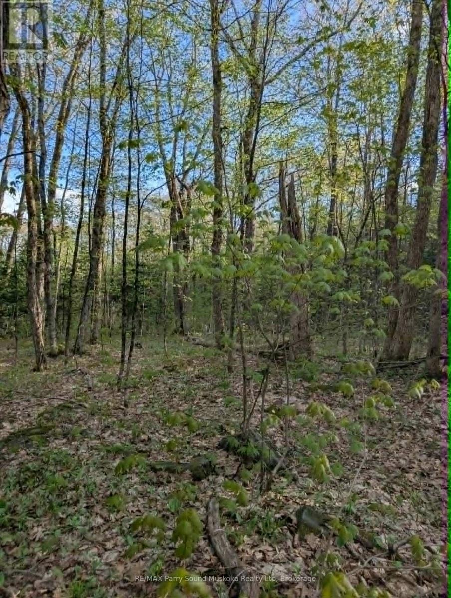 0 Sugar Lake Road Property Photo 13