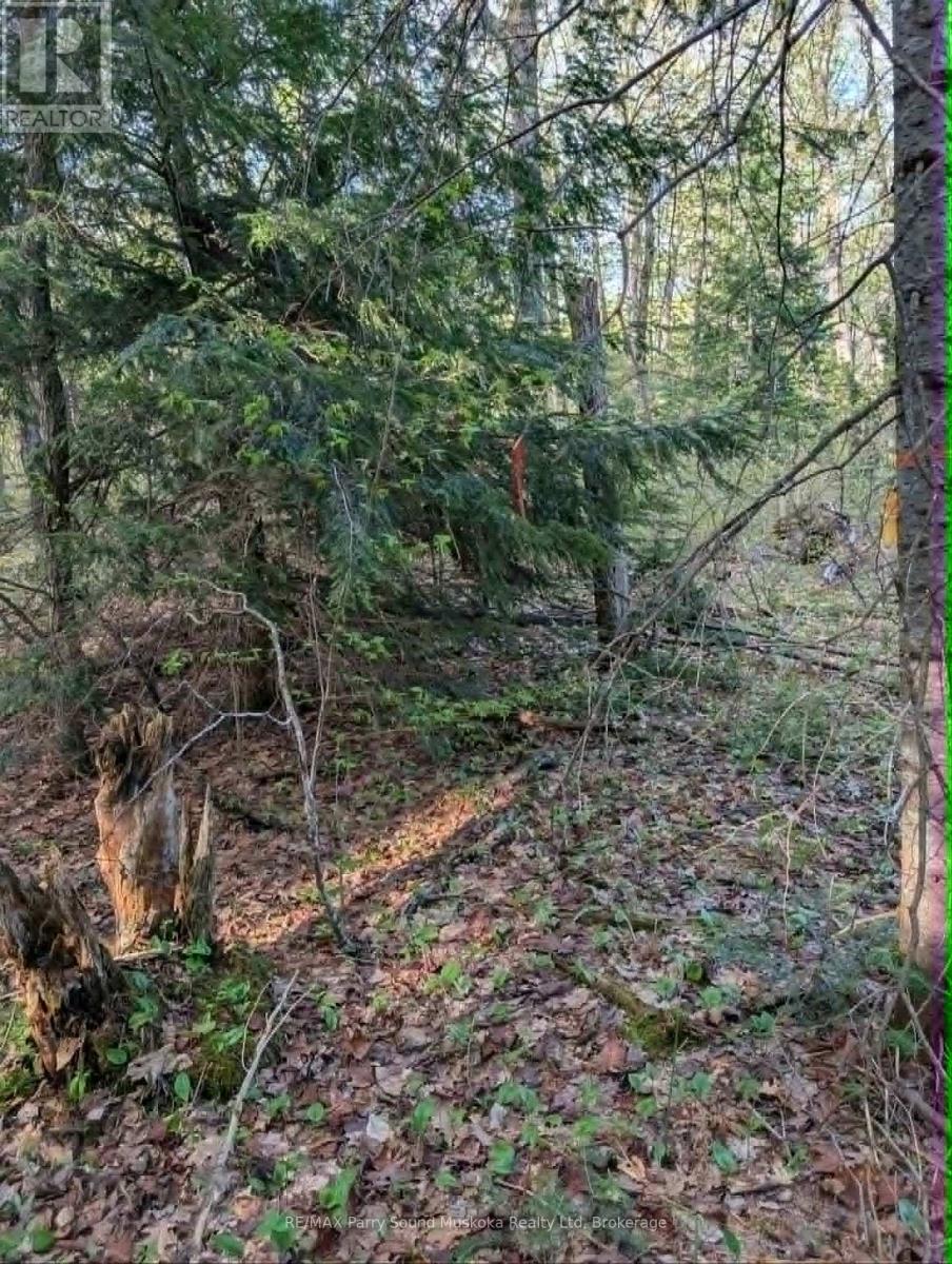 0 Sugar Lake Road Property Photo 15