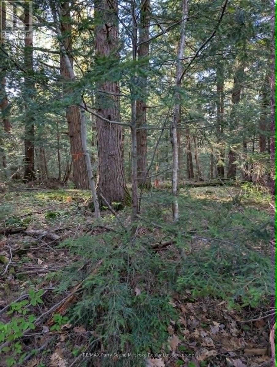 0 Sugar Lake Road Property Photo 16