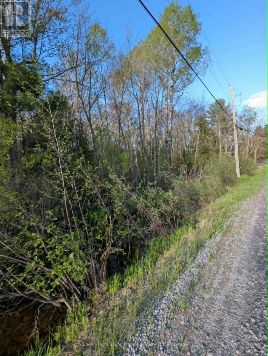 0 Sugar Lake Road Property Photo 17