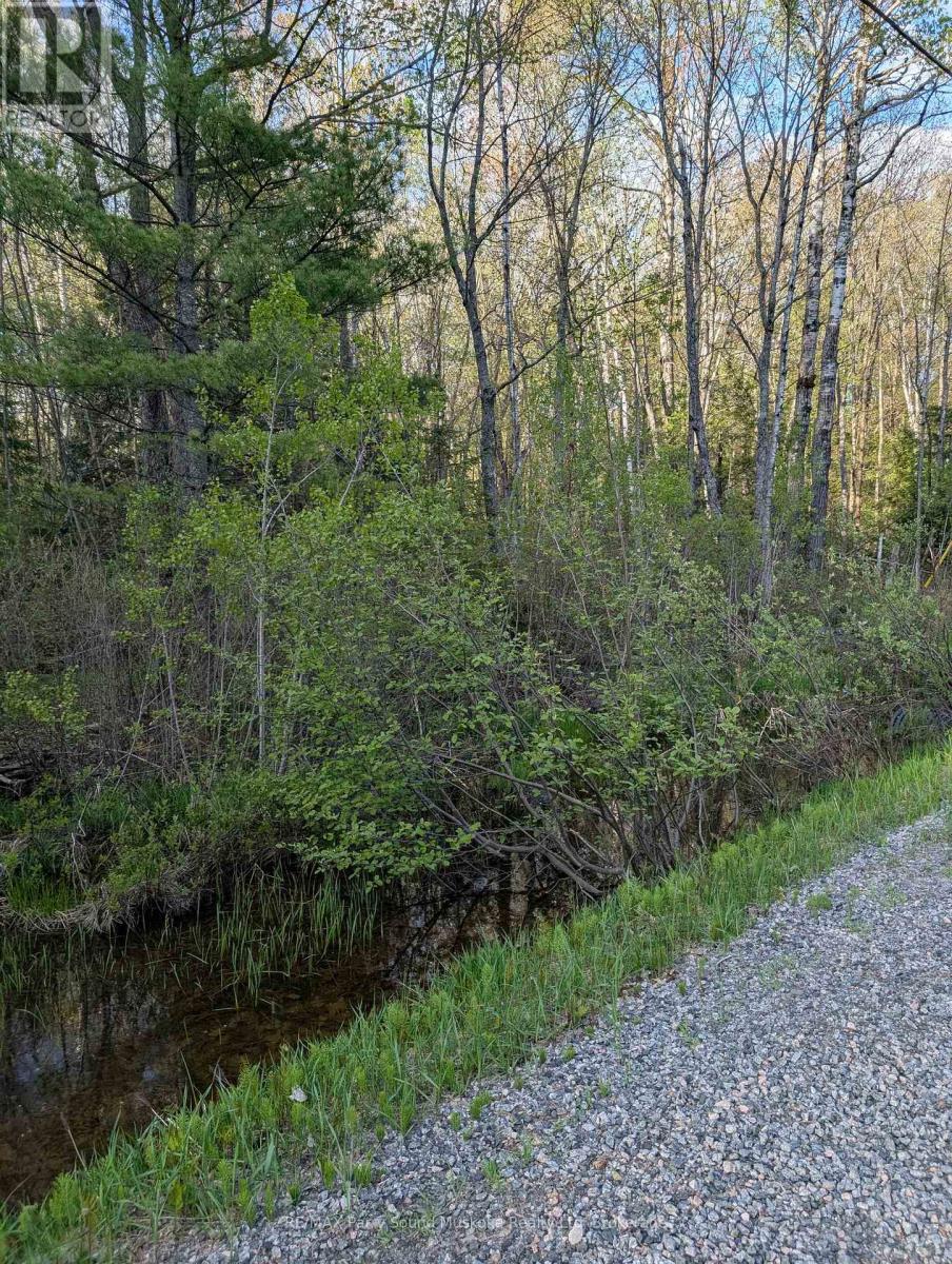 0 Sugar Lake Road Property Photo 20