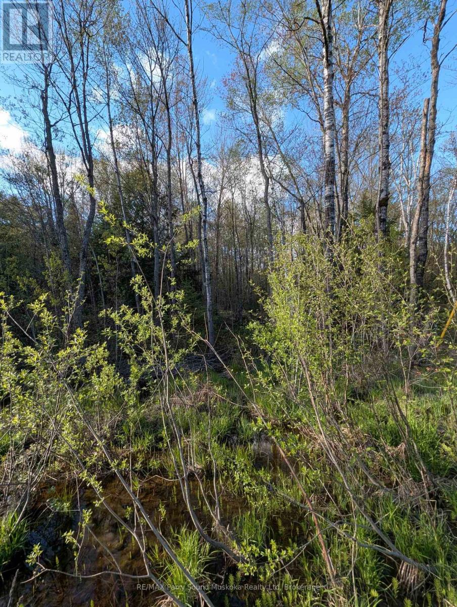 0 Sugar Lake Road Property Photo 21