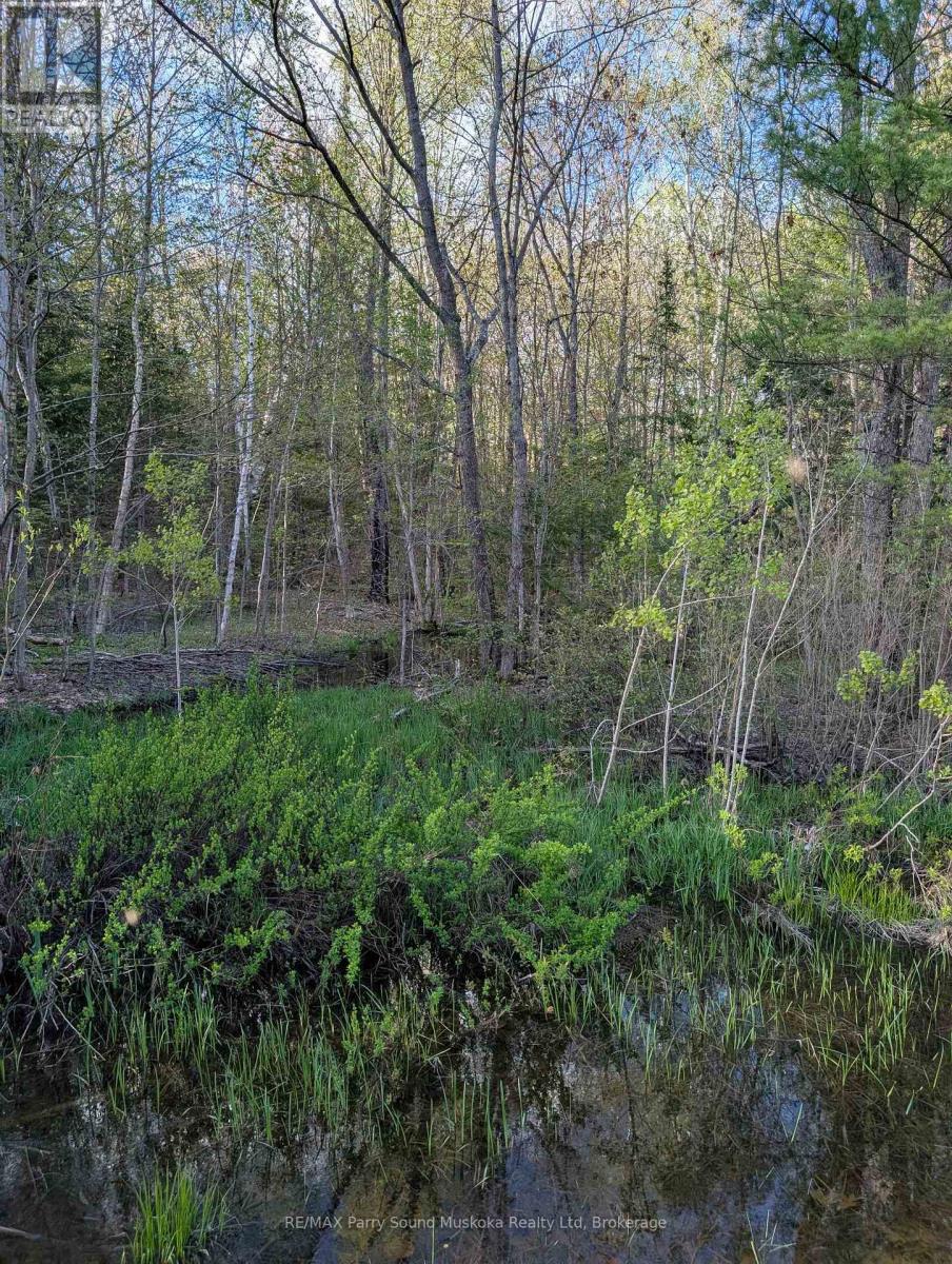 0 Sugar Lake Road Property Photo 22