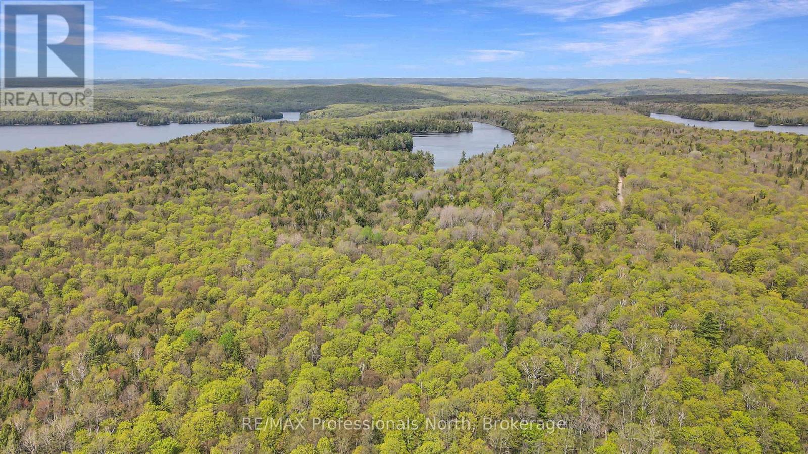 1514 Little Straggle Lake Drive Property Photo 36