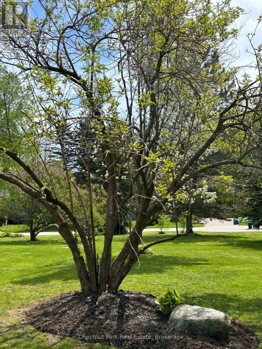13 Pollard Drive Property Photo 12