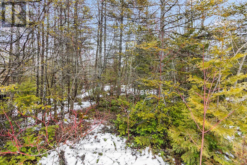 Lot 43 Warner Bay Road Property Photo 15