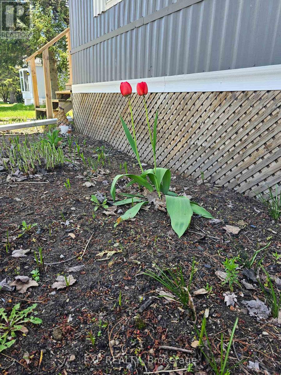 108 Hutt Road Property Photo 22