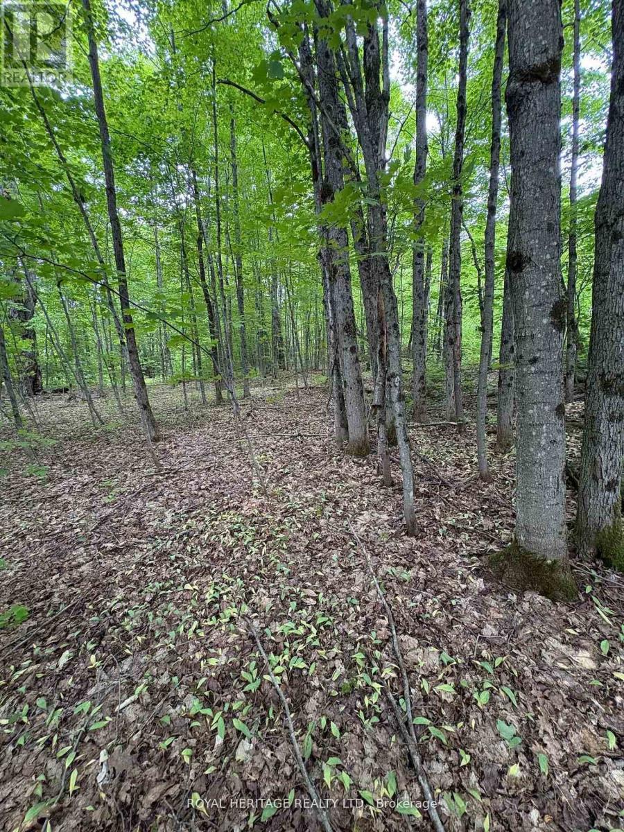 1043 Lawrence Pit Road Property Photo 3