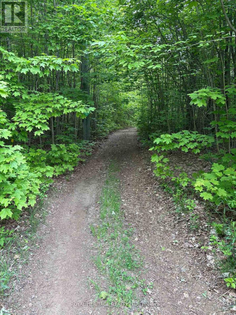 1043 Lawrence Pit Road Property Photo 4