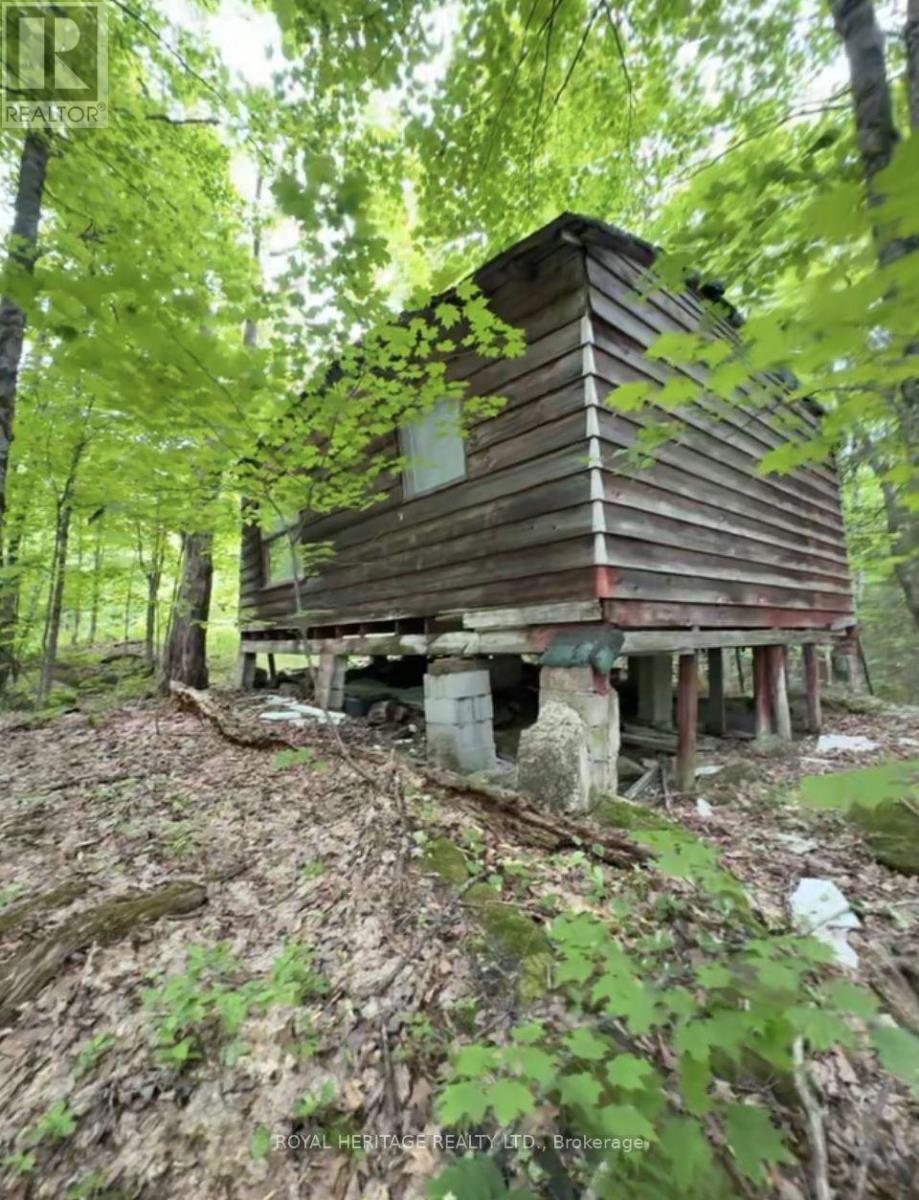1043 Lawrence Pit Road Property Photo 6