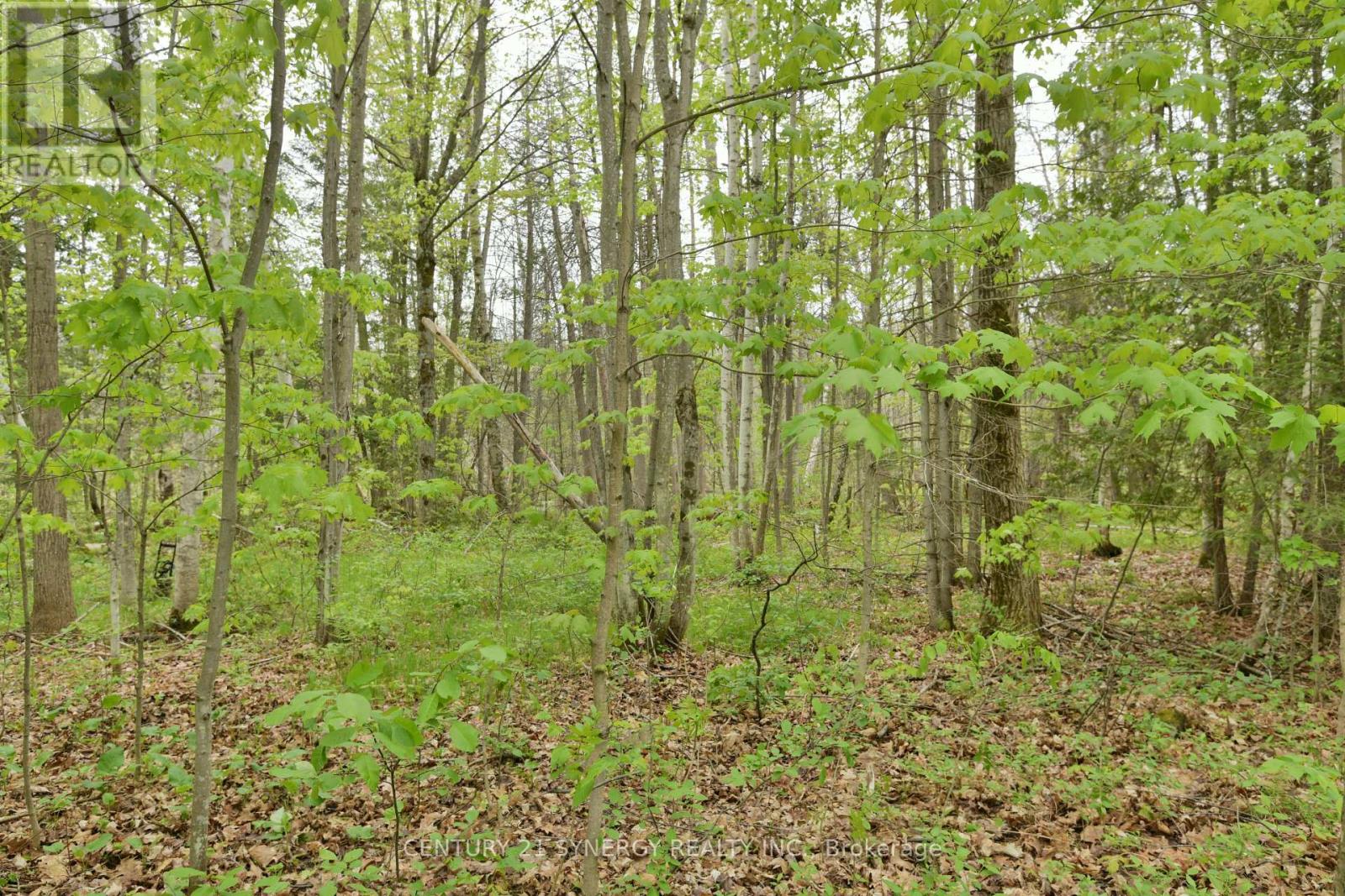 00 Milton Stewart Avenue Property Photo 15