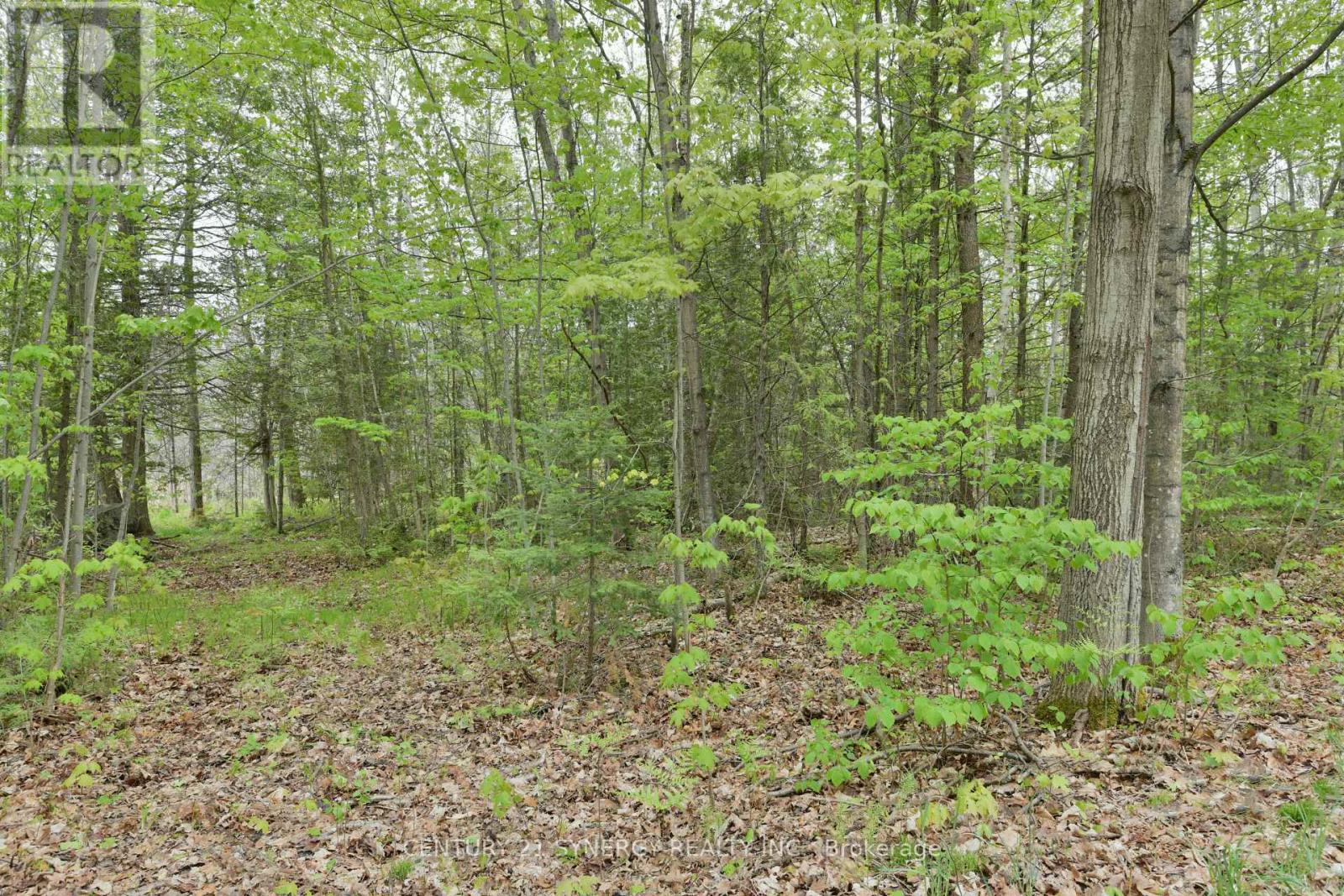 00 Milton Stewart Avenue Property Photo 16