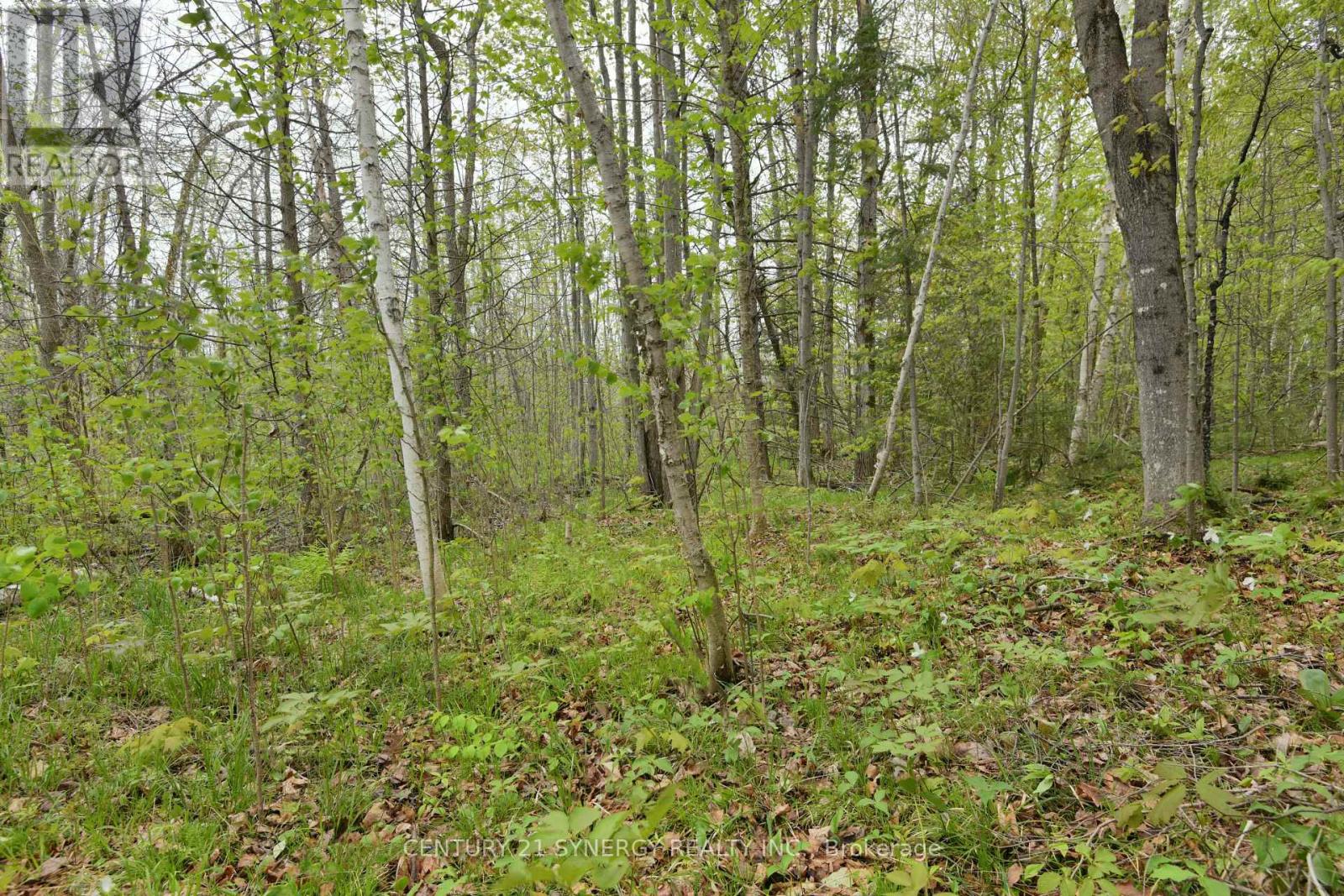 00 Milton Stewart Avenue Property Photo 17