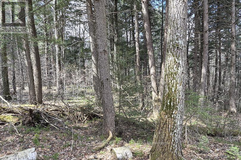 27681 Highway 60 Highway Property Photo 10