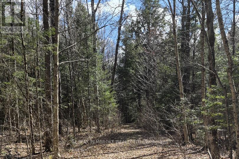27681 Highway 60 Highway Property Photo 11