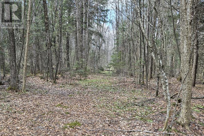 27681 Highway 60 Highway Property Photo 12