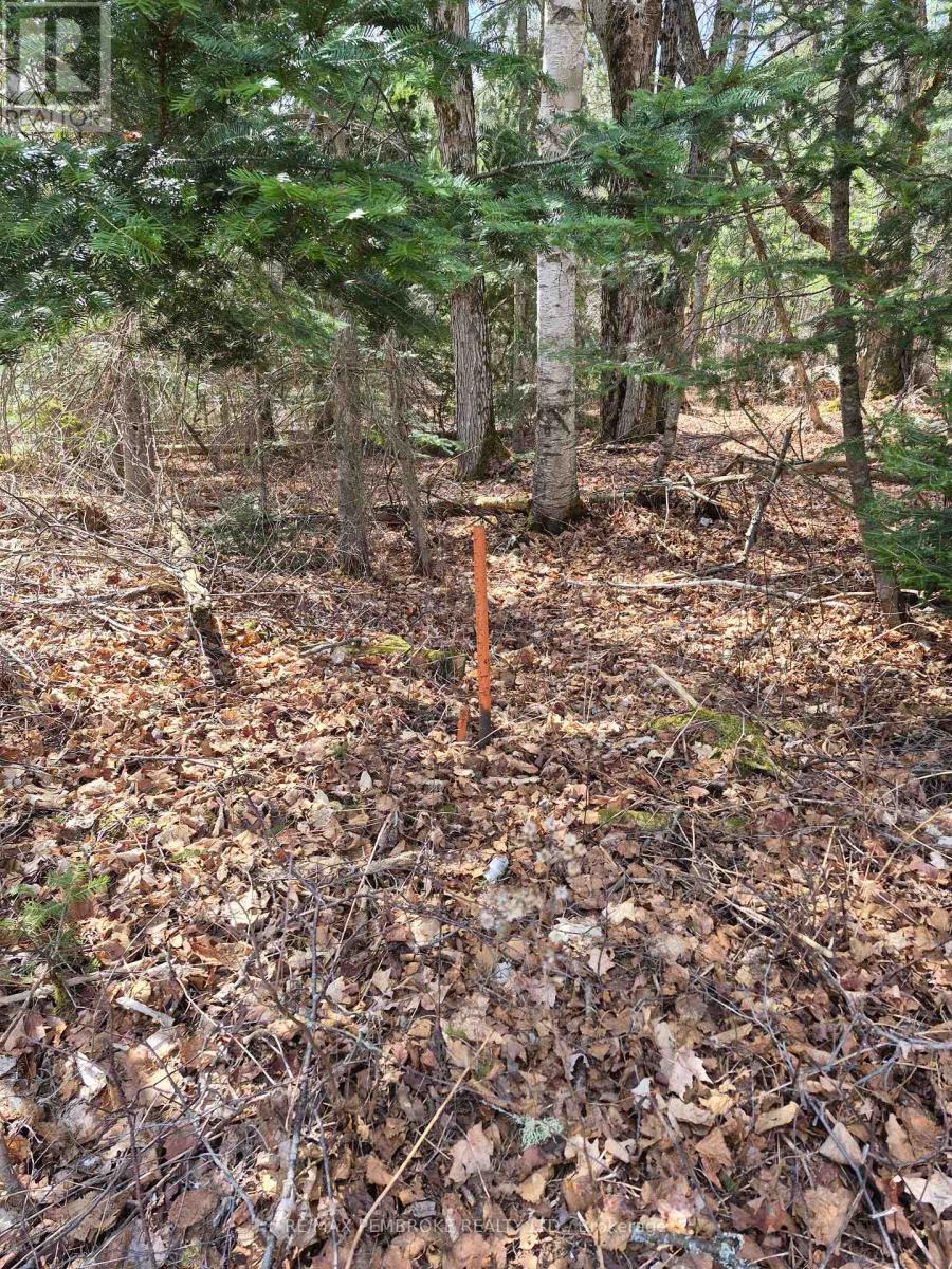 27681 Highway 60 Highway Property Photo 20