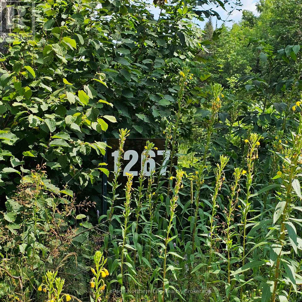 1267 Snake Creek Road Property Photo 1