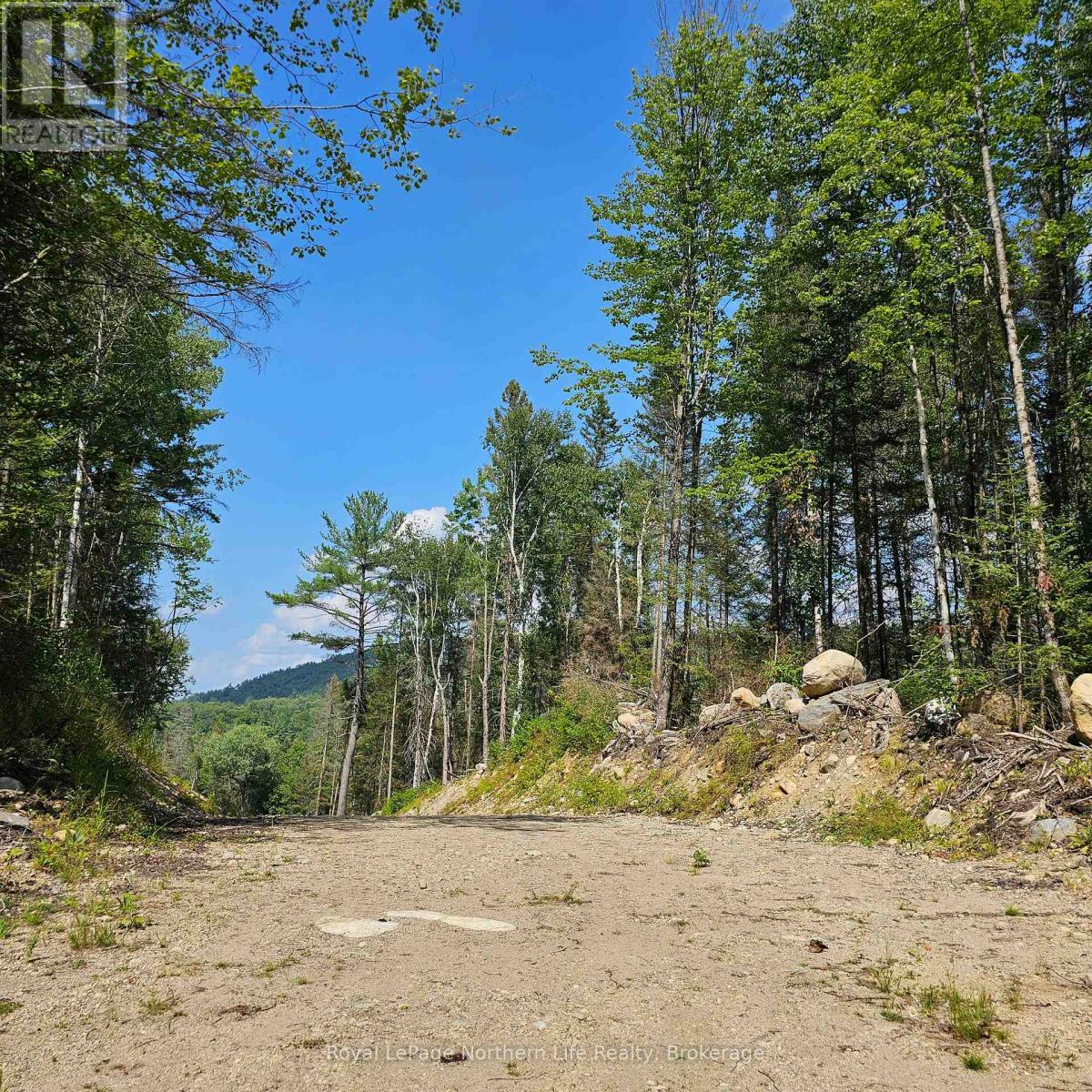 1267 Snake Creek Road Property Photo 2