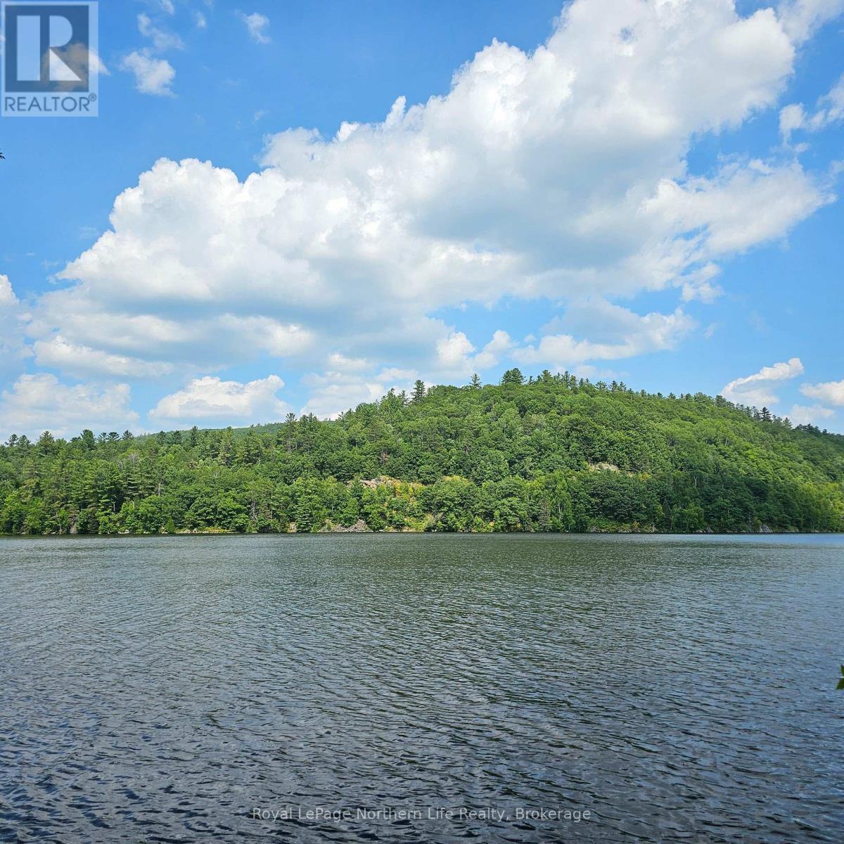 1267 Snake Creek Road Property Photo 5