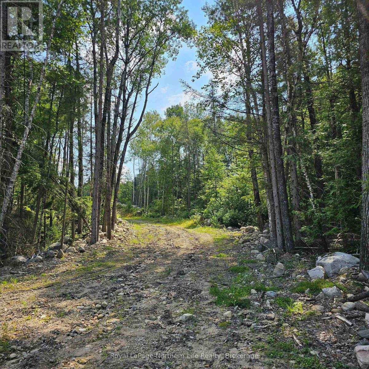 1267 Snake Creek Road Property Photo 8