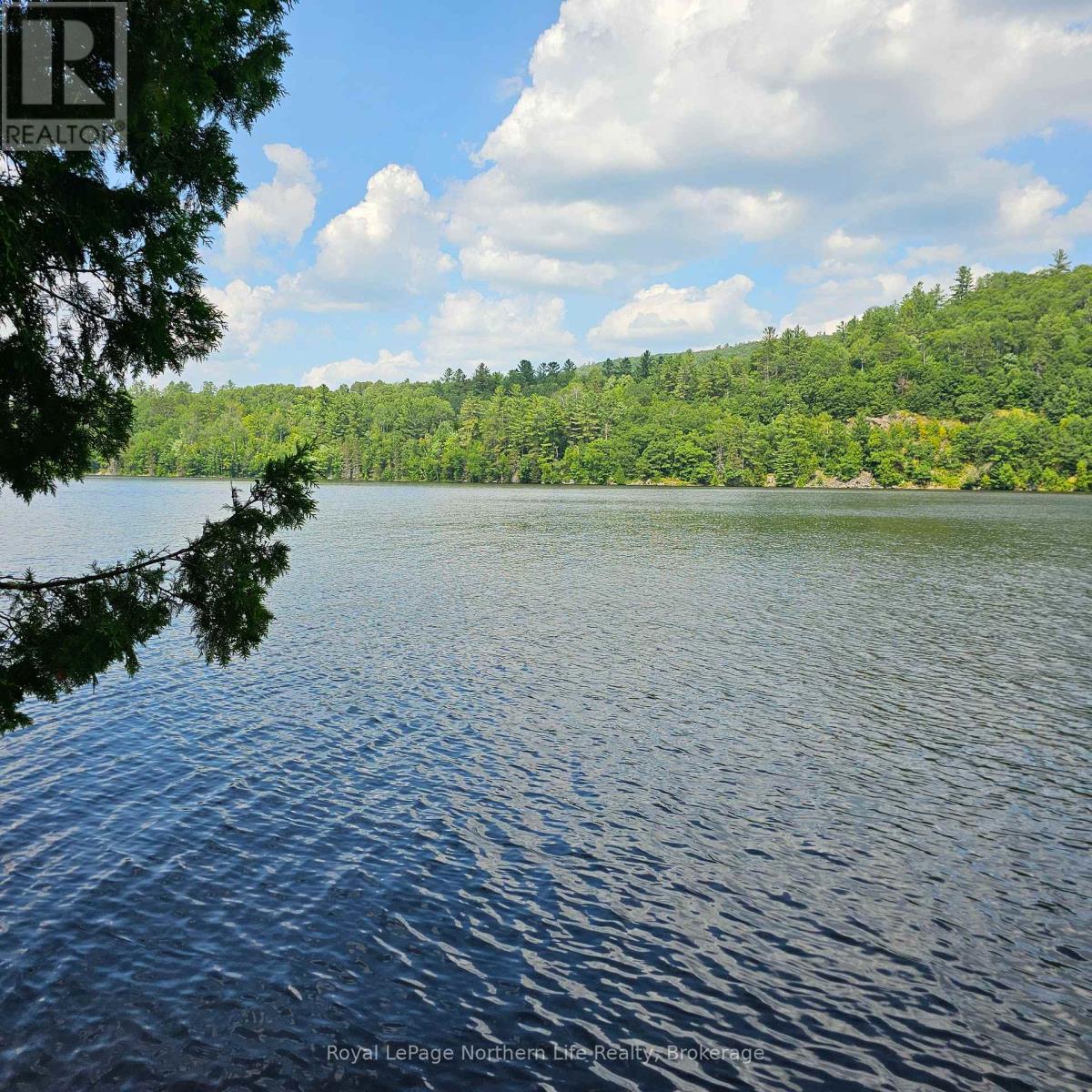 1267 Snake Creek Road Property Photo 11