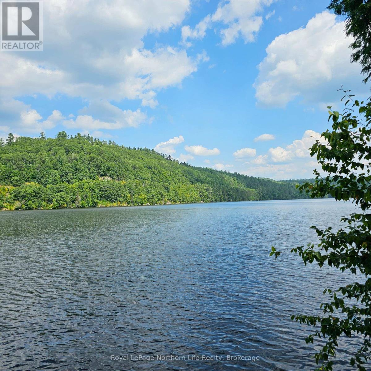 1267 Snake Creek Road Property Photo 12