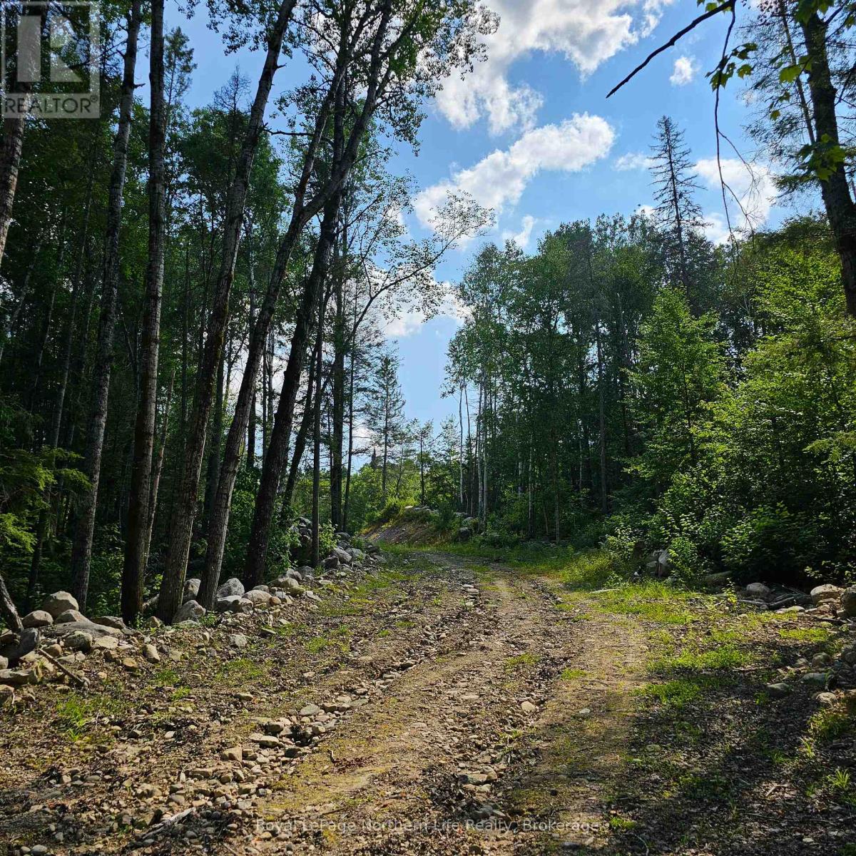 1267 Snake Creek Road Property Photo 14