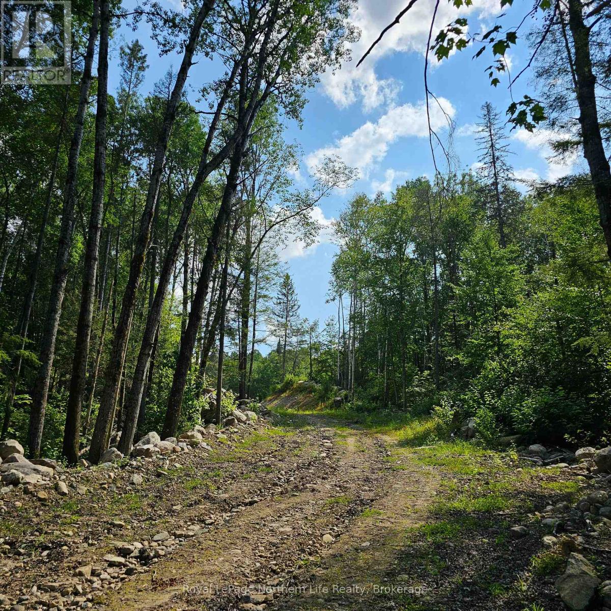 1267 Snake Creek Road Property Photo 15