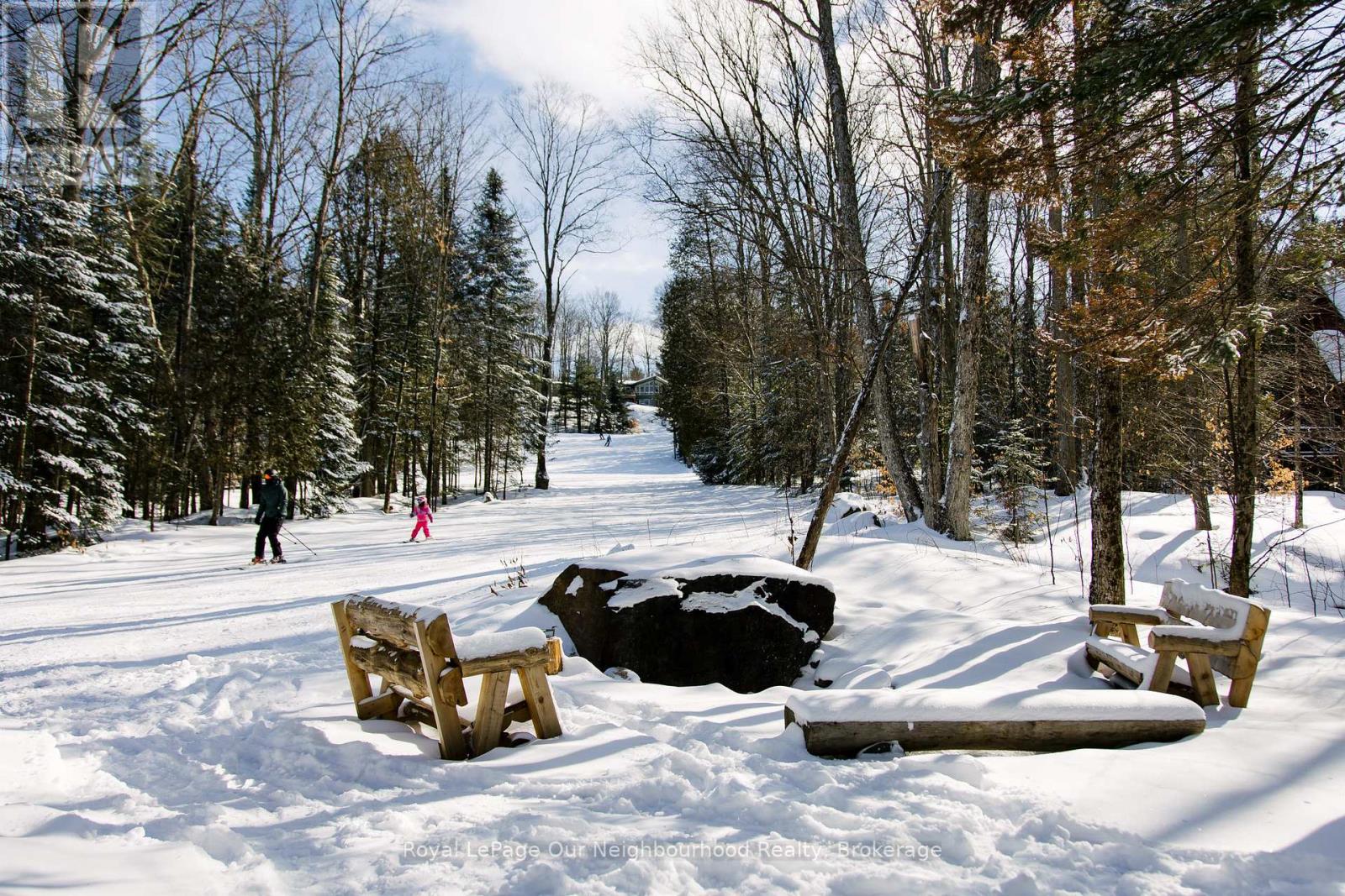 1040 Ski Ridge Trail Property Photo 37