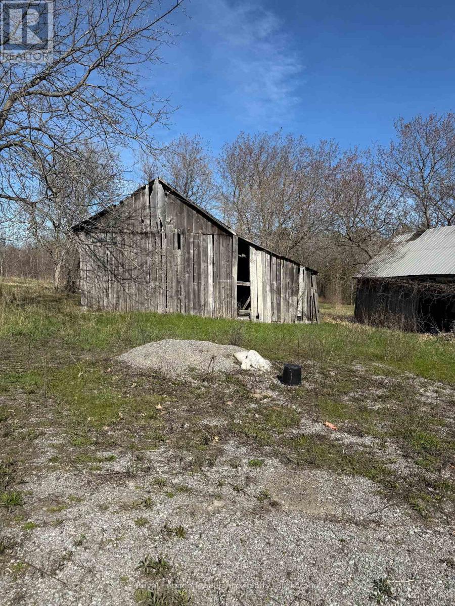 303 Brimley Road S Property Photo 13