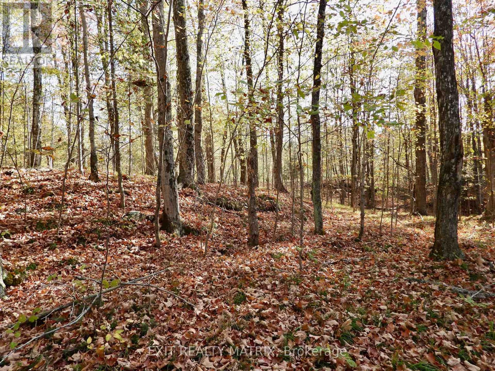LOT 1 WOODLAND PARK DRIVE Property Photo 1