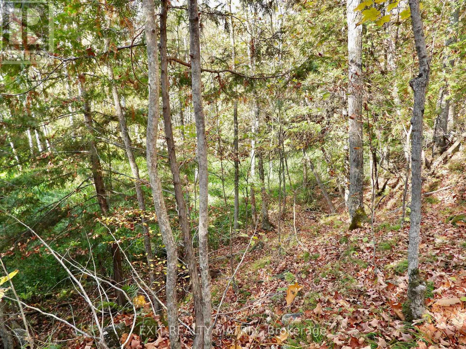 Lot 1 Woodland Park Drive Property Photo 2