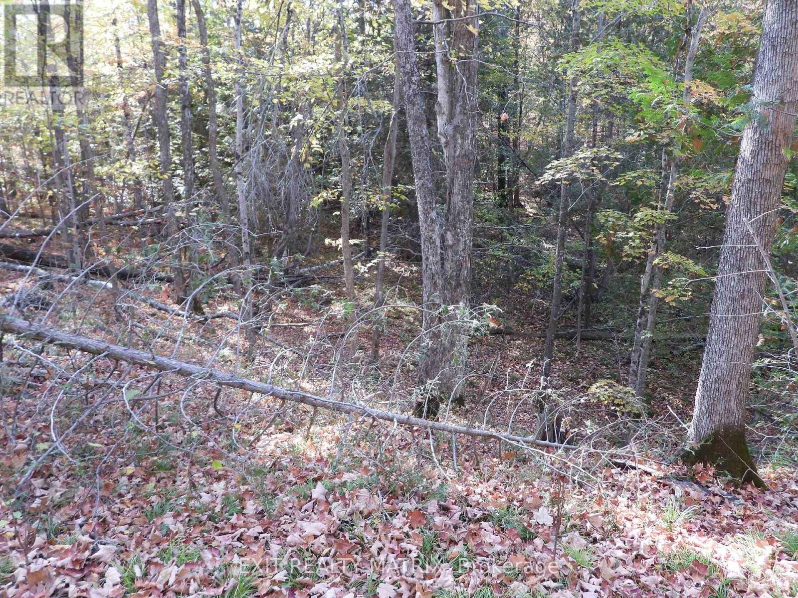 Lot 1 Woodland Park Drive Property Photo 3