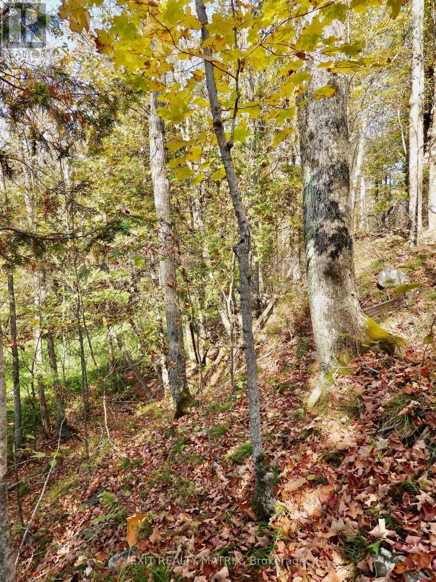 Lot 1 Woodland Park Drive Property Photo 4