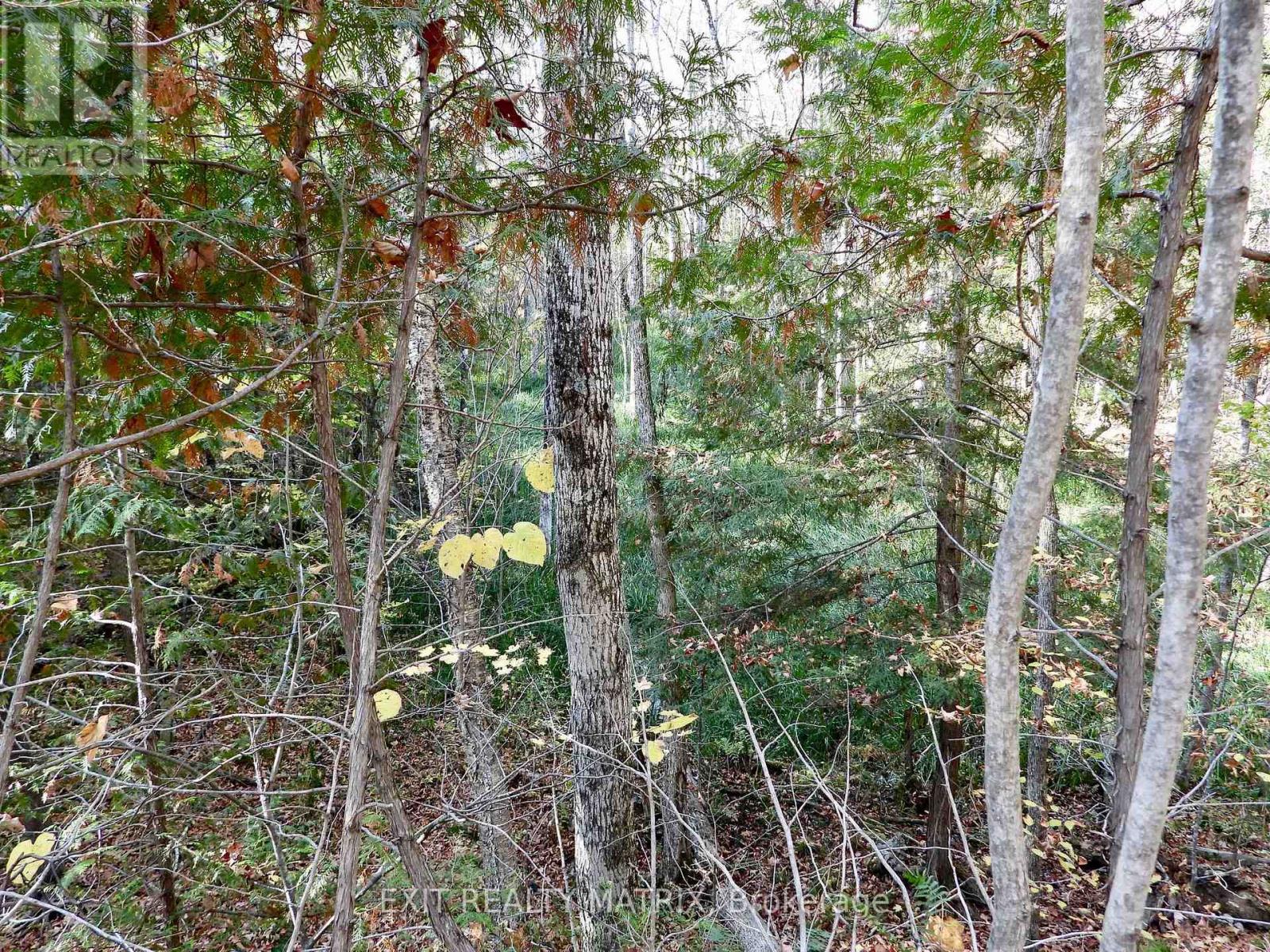 Lot 1 Woodland Park Drive Property Photo 5