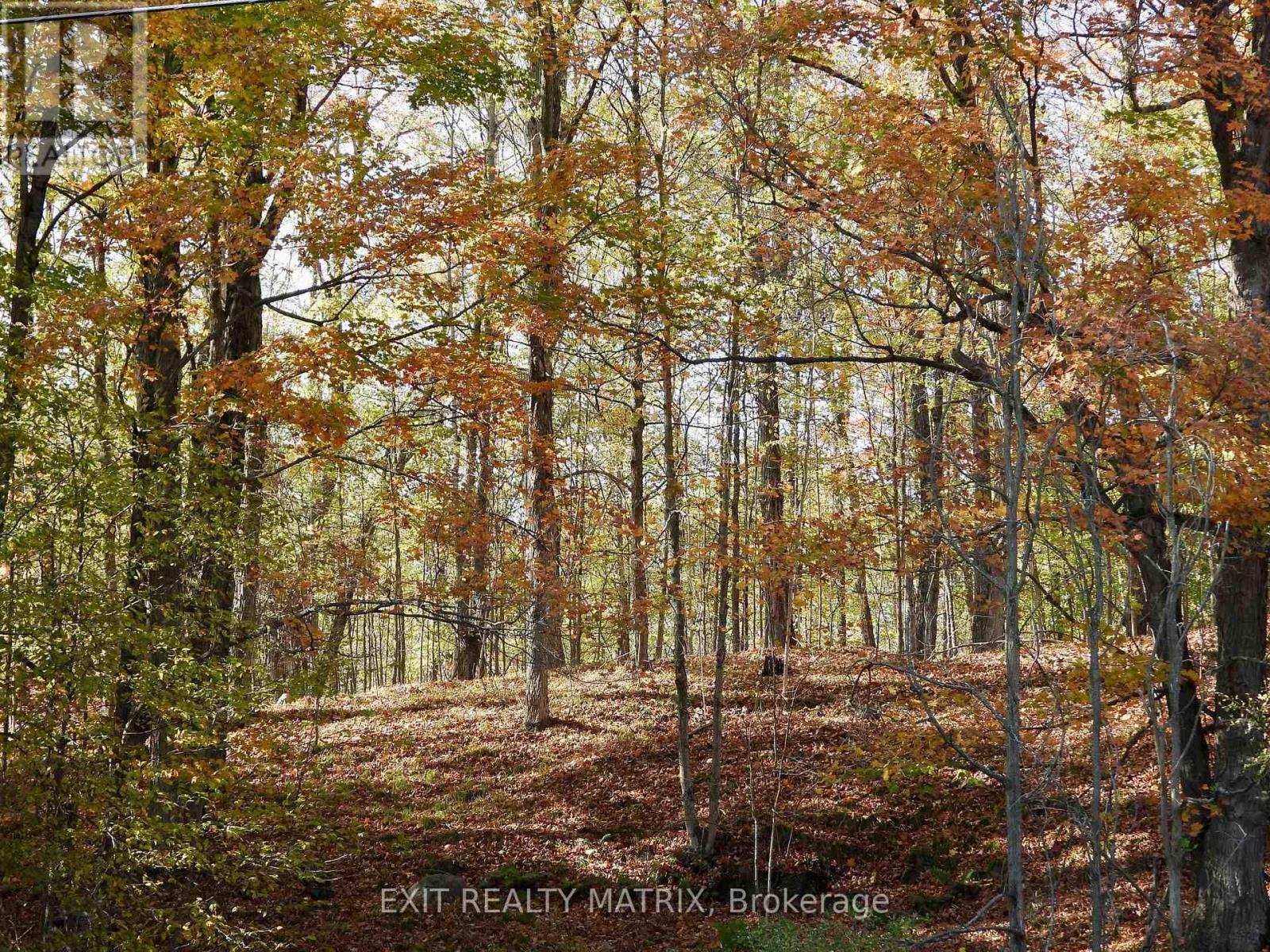 Lot 2 Woodland Park Drive Property Photo 4