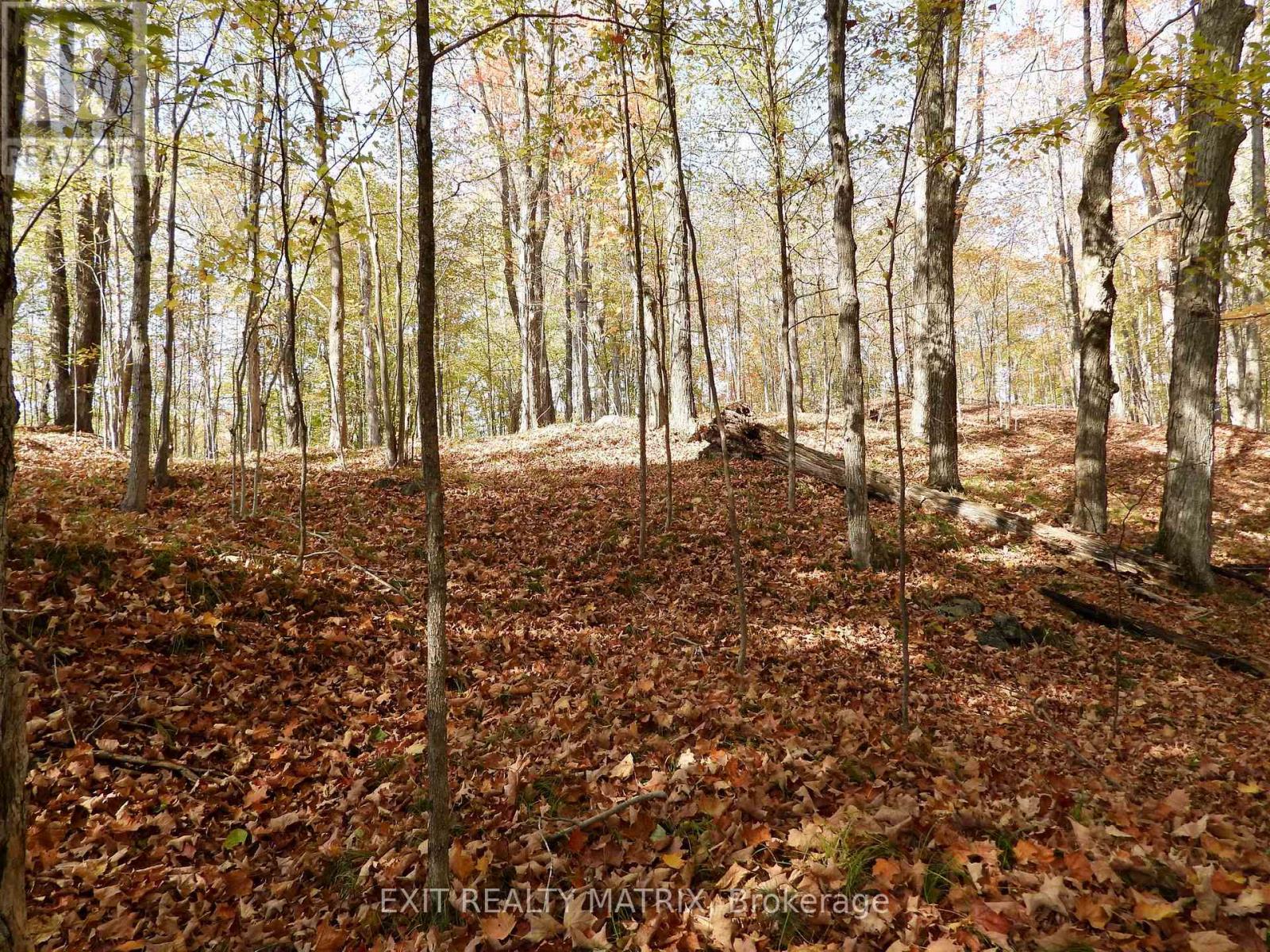 Lot 2 Woodland Park Drive Property Photo 5
