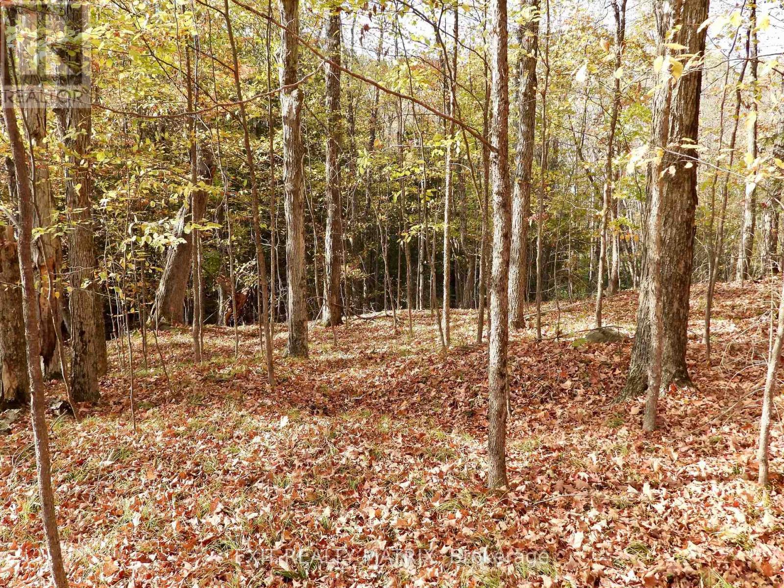 Lot 2 Woodland Park Drive Property Photo 6