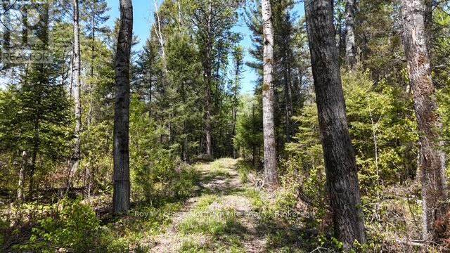 Rd - 576 Hart Road Property Photo 8