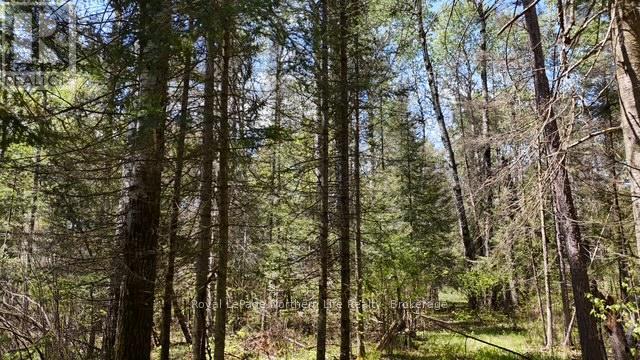 Rd - 576 Hart Road Property Photo 13