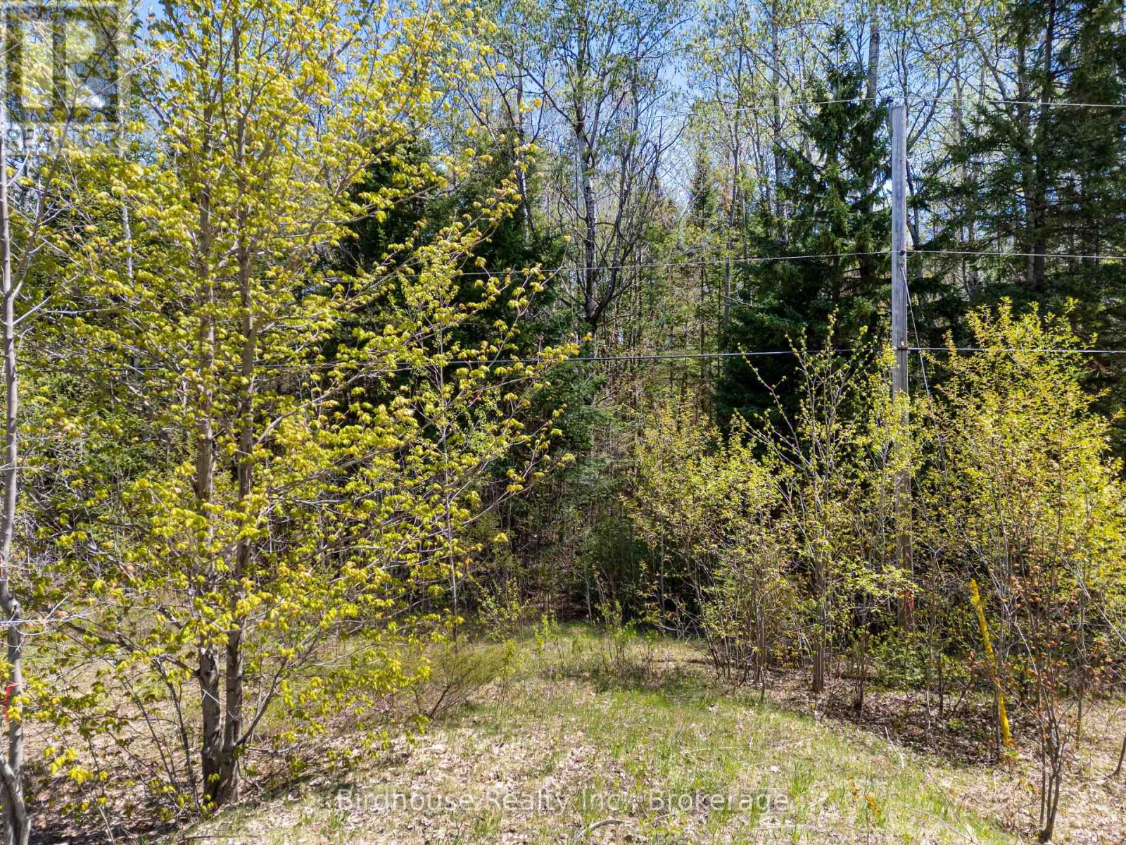 Pt Lt 26 Con 17 Cardiff Hwy #648 (loop) Road Property Photo 14