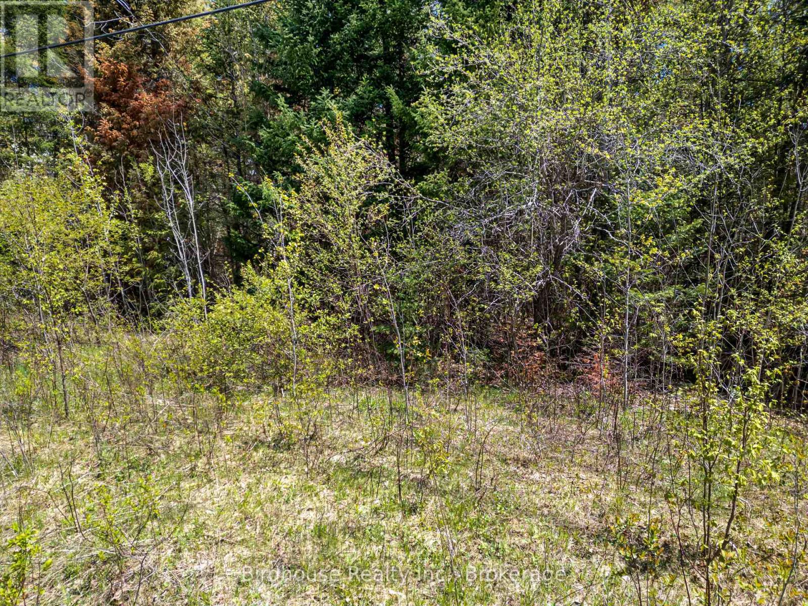 Pt Lt 26 Con 17 Cardiff Hwy #648 (loop) Road Property Photo 15