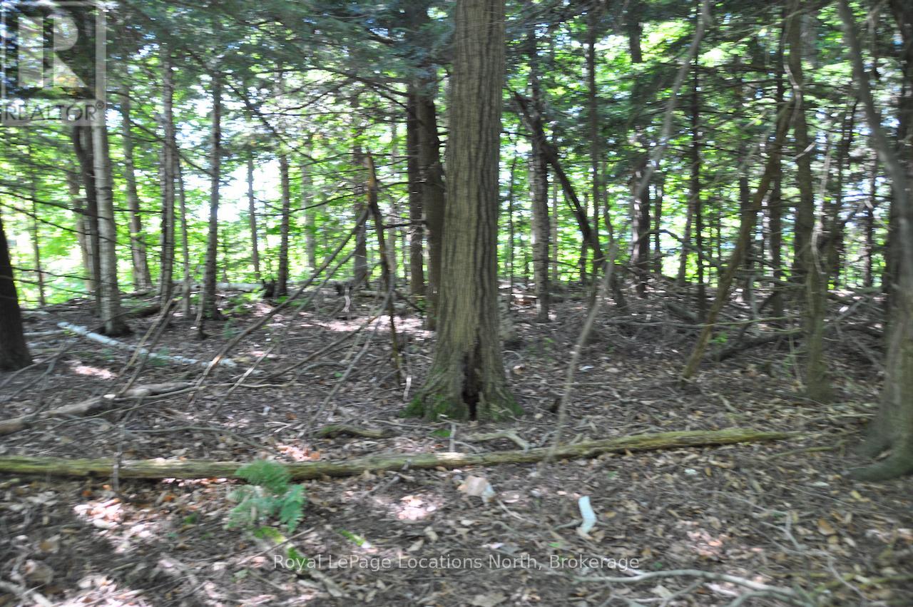 Lot 21 Bayshore Road Property Photo 4