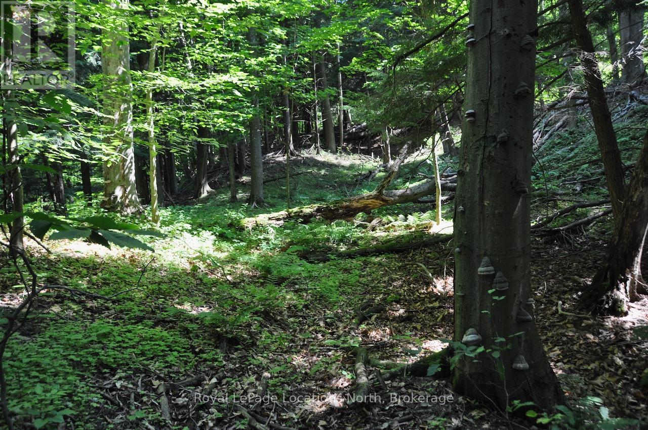 Lot 21 Bayshore Road Property Photo 5
