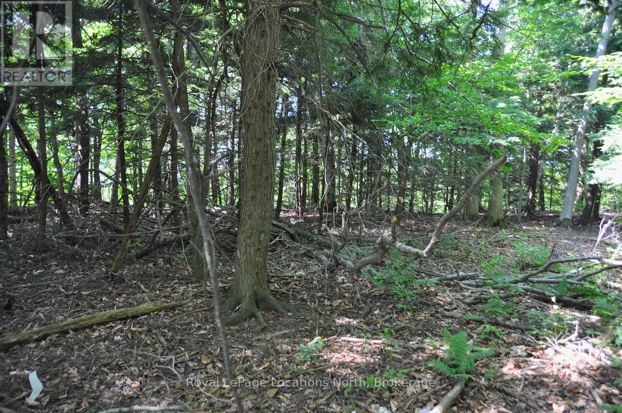 Lot 21 Bayshore Road Property Photo 6